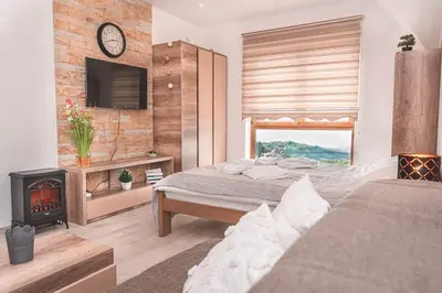 a bedroom with a bed and a fireplace and a television at Cicmilovic P63, Milmari Resort, Kopaonik in Kopaonik