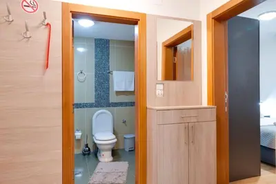 a small bathroom with a toilet and a shower at Apartman Nada de lux in Vrnjačka Banja
