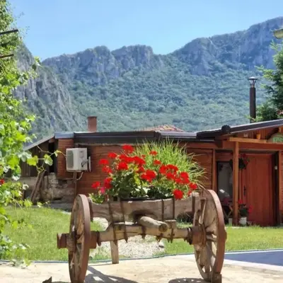 Ramonda Serbica- Peaceful Retreat in Sicevo Gorge