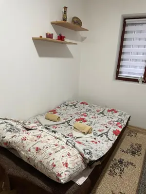 a bed with two pillows on it in a room at SUNNY NEST in Vrnjačka Banja