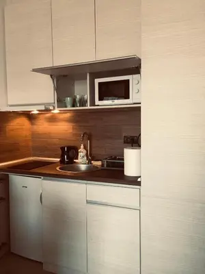a kitchen with a sink and a microwave at Milmari Apartman P38 in Kopaonik