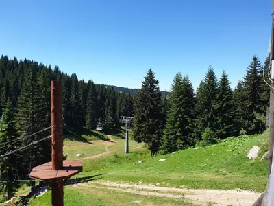 a basketball hoop on top of a hill with trees at Milmari Apartman P38 in Kopaonik