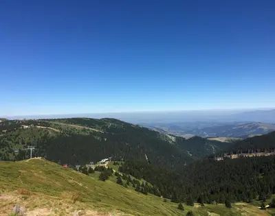 a view from the top of a hill with trees at Milmari Apartman P38 in Kopaonik