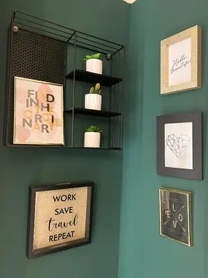 a shelf with plants on a wall with pictures at Dis apartman 2 in Kruševac