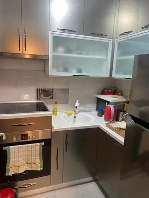 a kitchen with a sink and a counter top at 3 , 2 , 1 bedrooms , jakuzi and garage parking in Niš