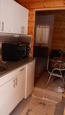 a kitchen with a microwave and a couch in a cabin at Vikendica Mijajlović 2 in Kuršumlija
