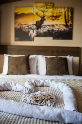 a bed with a blanket on top of it at Dream Milmari Apartment in Kopaonik