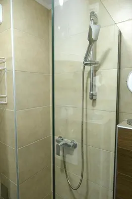 a shower with a glass door in a bathroom at Dream Milmari Apartment in Kopaonik