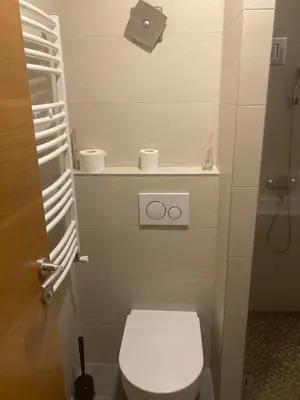 a small bathroom with a toilet and a shower at Megi apartman - Konaci Maglic in Kopaonik