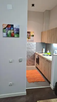 a kitchen with a shower and a sink and a refrigerator at Apartman No1,Župa Wellness & Spa Kopaonik in Kopaonik