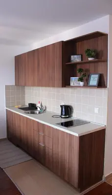 a kitchen with a sink and wooden cabinets at Apartman Paradiso 211 in Vrnjačka Banja