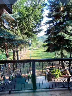 a balcony with a view of a park at Vila Jezerski raj Borsko jezero in Bor