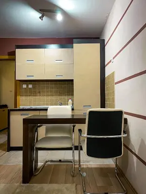 Gallery image of ApartmentKop111-Zoned in Kopaonik
