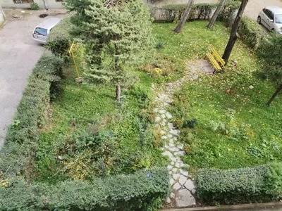 an aerial view of a garden with a tree at STAN na DAN PEX FREE PARKING in Vranje