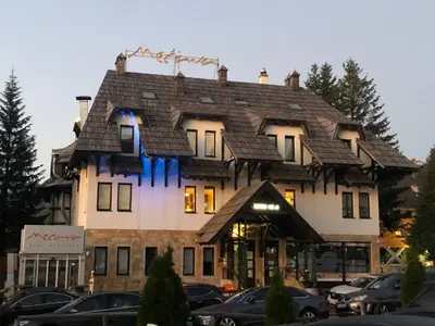 a building with a roof that looks like a house at Mecava Apartmani in Kopaonik