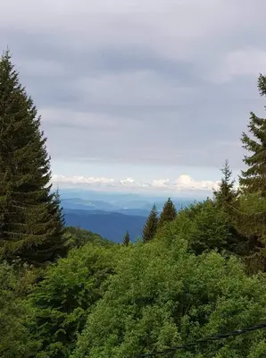 Gallery image of Vila Irina - Apartman Miloš in Kopaonik