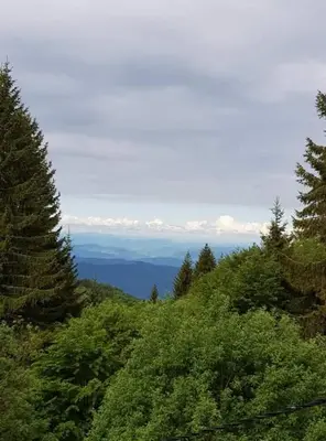 Gallery image of Vila Irina - Apartman Miloš in Kopaonik