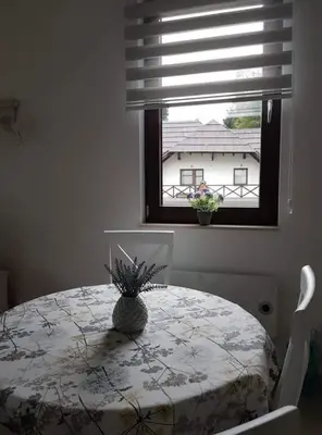 Gallery image of Vila Irina - Apartman Miloš in Kopaonik