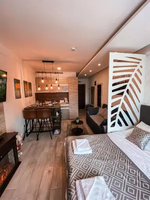 a room with a bed and a living room and a kitchen at Milmari MM L24 in Kopaonik