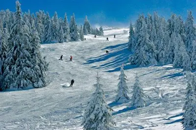 a group of people skiing down a snow covered slope at Milmari MM L24 in Kopaonik