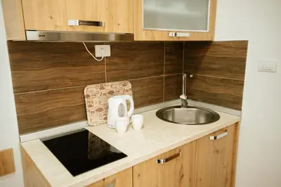 a small kitchen with a sink and a counter at Apartman Kostic Kraljev Konak in Kopaonik
