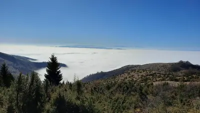 a view of the clouds from the top of a mountain at Apartman Ema in Kopaonik