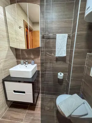 a bathroom with a sink and a toilet and a mirror at Apartman Ema in Kopaonik