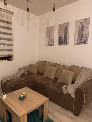 a living room with a brown couch and a table at Apartman Ema in Kopaonik