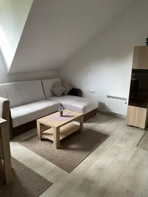 a living room with a couch and a coffee table at Kraljevi Konaci -Apartmani Bajka in Kopaonik