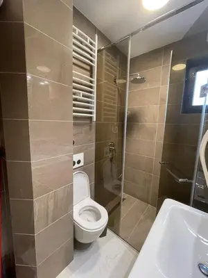 a bathroom with a toilet and a sink at Vila PAHULJA A6 in Kopaonik
