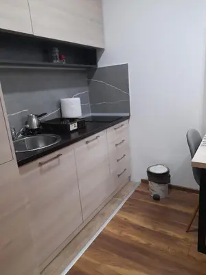 a kitchen with a sink and a counter at Prezident Marta in Kopaonik