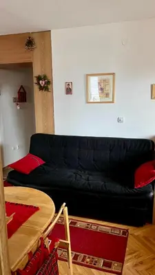 a living room with a black couch and red pillows at Vila Boris, Apartman Aleksej - Kopaonik in Kopaonik