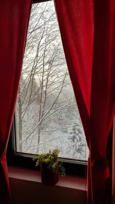 a window with a view of a snow covered tree at Vila Boris, Apartman Aleksej - Kopaonik in Kopaonik