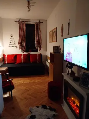 a living room with a flat screen tv and a fireplace at Vila Boris, Apartman Aleksej - Kopaonik in Kopaonik