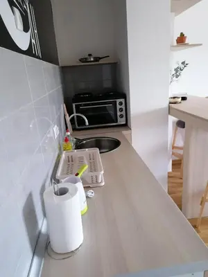 a kitchen counter with a sink and a microwave at Apartman San in Vrnjačka Banja