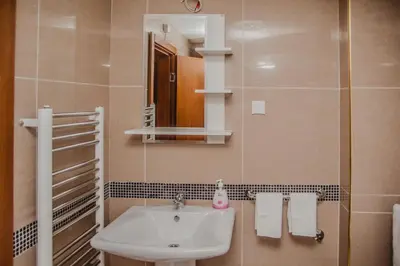 a bathroom with a sink and a mirror at Apartman Viva in Vrnjačka Banja
