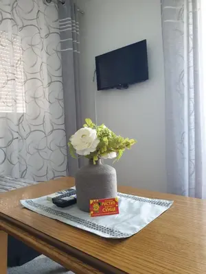 a vase with a flower sitting on a table at Lux Apartman Ristić 1 in Soko Banja
