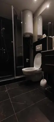 a bathroom with a toilet and a shower and a sink at Vila Irina Kopaonik - Apartman Jovana in Kopaonik