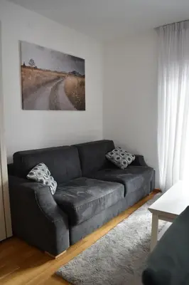 a black leather couch in a living room at Vila Irina Kopaonik - Apartman Jovana in Kopaonik