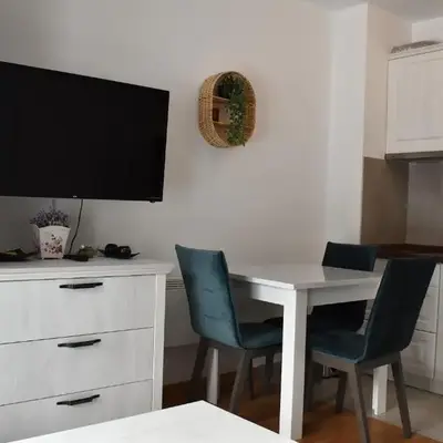 Vila Irina Kopaonik - Apartman Jovana
