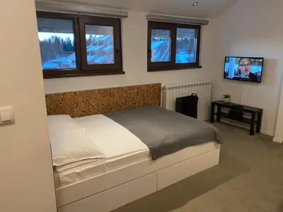 a bedroom with a bed and a tv and windows at Vuk & Sofija Apartmani in Kopaonik