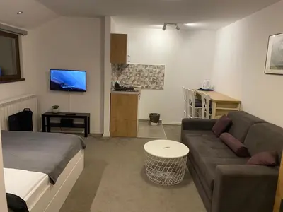 a living room with a couch and a tv at Vuk & Sofija Apartmani in Kopaonik