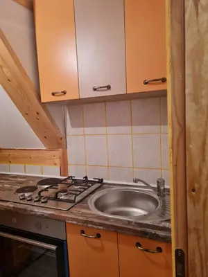 a kitchen with a stove and a sink at Mountain House Mijatović in Kopaonik
