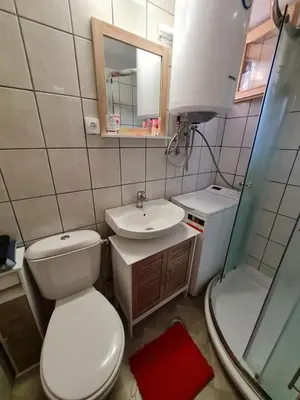 a bathroom with a toilet and a sink and a mirror at Mountain House Mijatović in Kopaonik