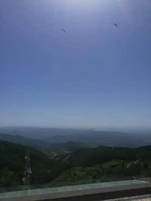 a view of the ocean from the top of a mountain at Apartman Div Kopaonik in Kopaonik