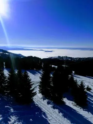 a snow covered hill with trees and the sun in the sky at Apartman Div Kopaonik in Kopaonik