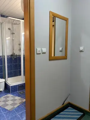 a bathroom with a shower and a mirror at Kopaonik Vila Nikola 306 centar in Kopaonik