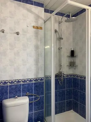 a bathroom with a toilet and a glass shower at Kopaonik Vila Nikola 306 centar in Kopaonik