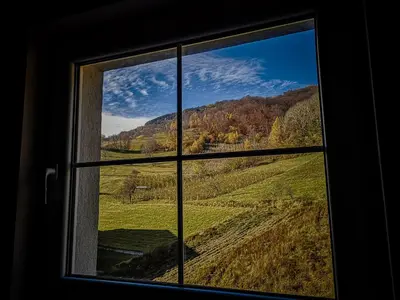 a view of a field from a window at STAR apartman Brzece Kopaonik in Brzeće