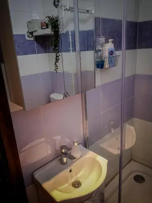 a bathroom with a sink and a shower at STAR apartman Brzece Kopaonik in Brzeće